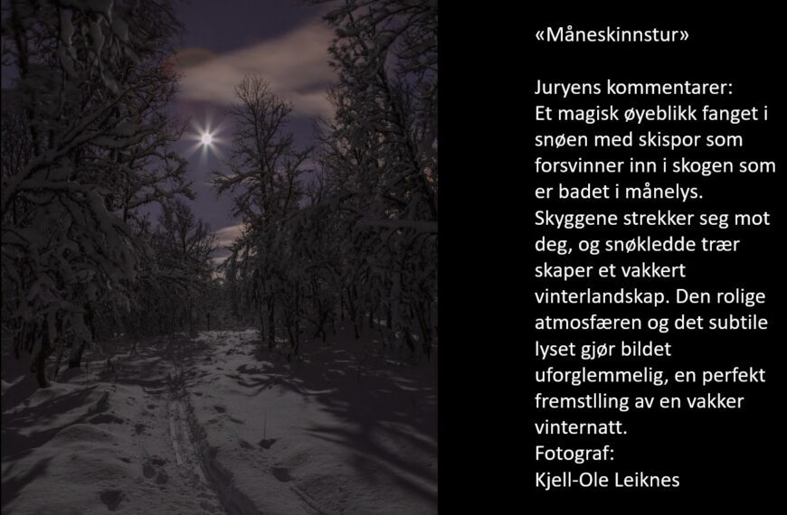 Temakonkurranse Desember 2023 «Mørketid»: Topp 10 med vinner Kjell-Ole Leiknes